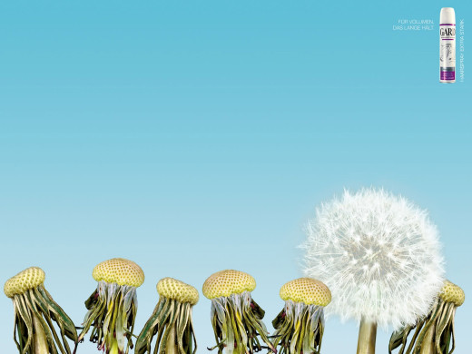 312542 (a): :1600x1200
